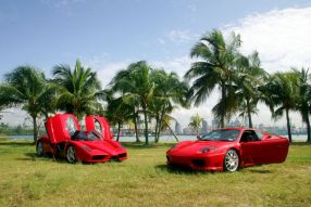 Фотообои Красные машины Феррари на фоне пальм