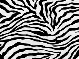 Фреска фактура зебра