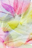 Фотообои Абстракция разноцветные прожилки на лепестках